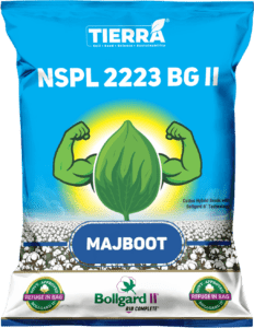 Majboot