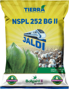Jaldi